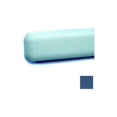 Pawling Wall Guard W/Rounded Top & Bottom Edges, Aluminum Retainer, 2-516"H x 12'L, Brittany Blue WG-3-12-520